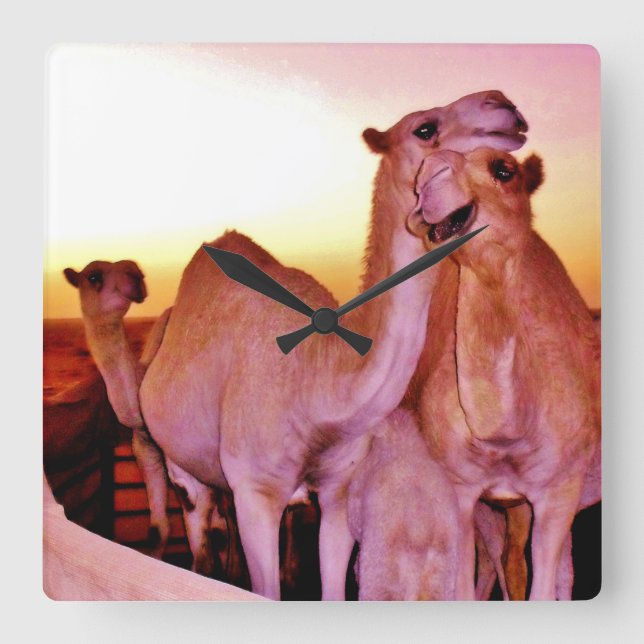 Camel Love Square Wall Clock (Front)