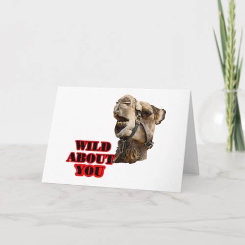 Camel Lover Holiday Card