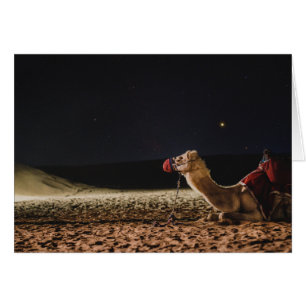 Camel Lying In The Midnight Skies Cards