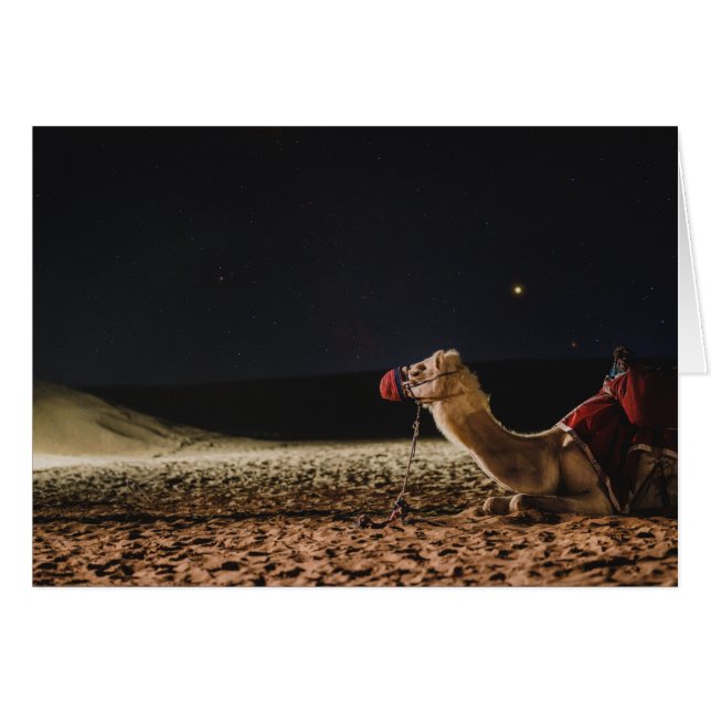 Camel Lying In The Midnight Skies Cards (Front Horizontal)