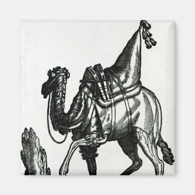Camel Magnet (Front)