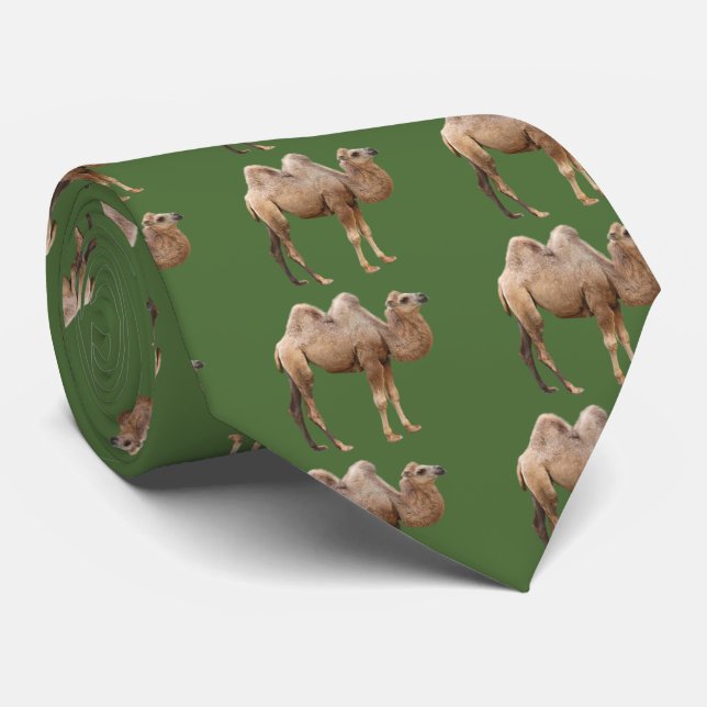 Camel Neck Tie (Rolled)
