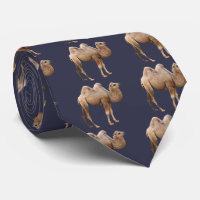 Camel