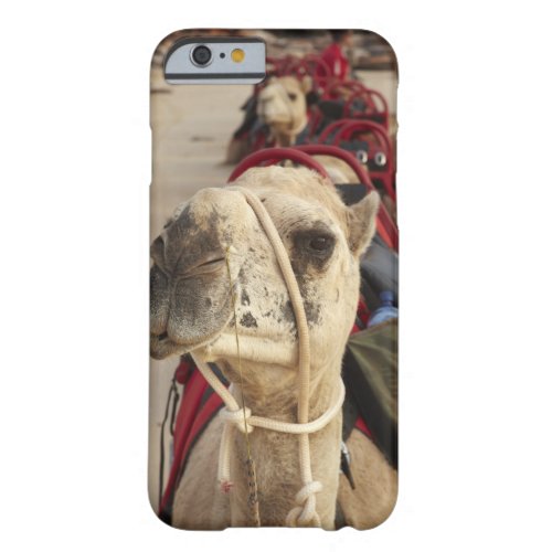 Camel on Cable Beach Broome Barely There iPhone 6 Case