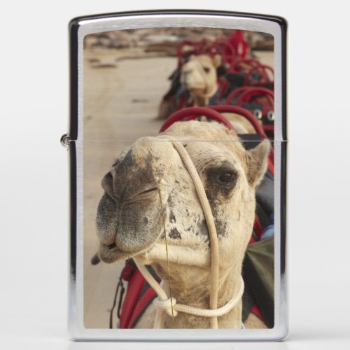 Camel on Cable Beach Broome Zippo Lighter