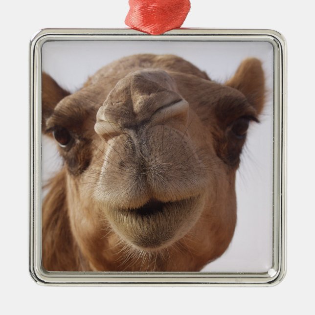 Camel Ornament (Front)