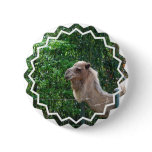 Camel Photo Design Button