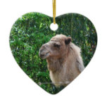 Camel Photo Design Ornament