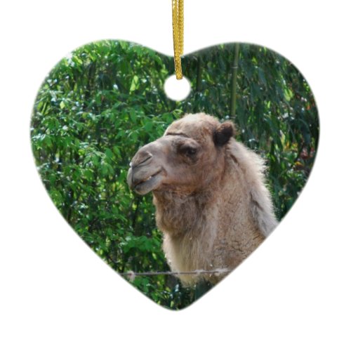 Camel Photo Design Ornament