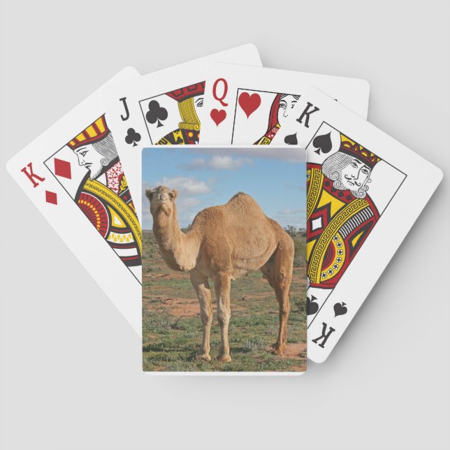 Camel Poker Cards (Back)