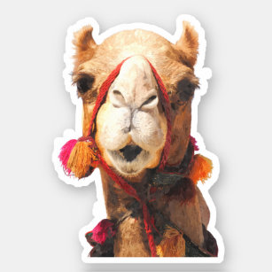 Camel Portrait Sticker