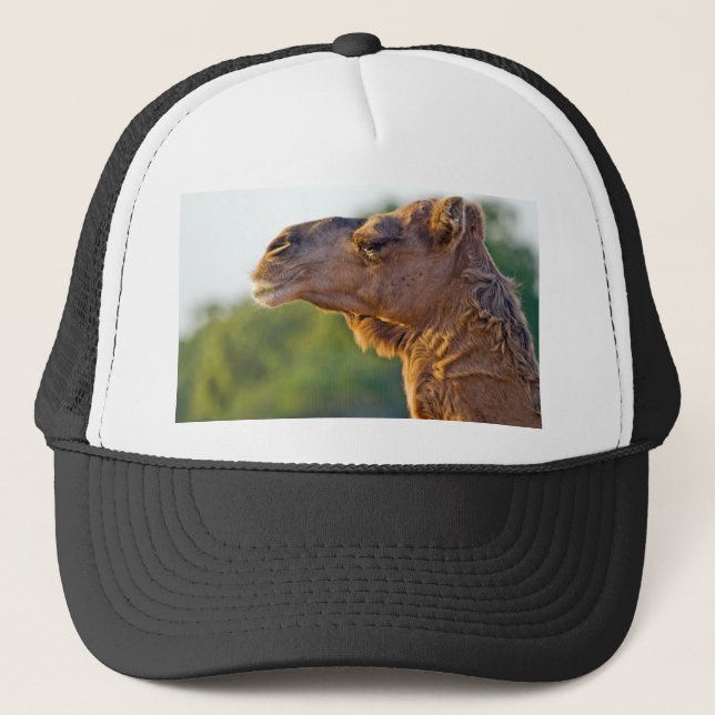 Camel Portrait Trucker Hat (Front)
