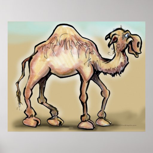 Camel Poster | Zazzle