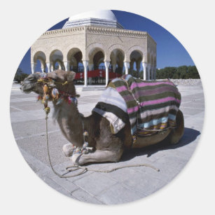 Camel resting in front of dome, Monastir, Tunisia Classic Round Sticker