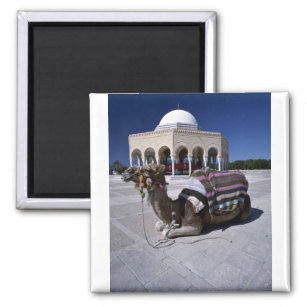 Camel resting in front of dome, Monastir, Tunisia Magnet