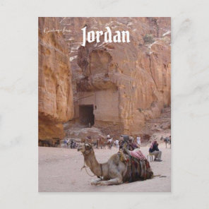 Camel Resting in Petra Jordan Postcard
