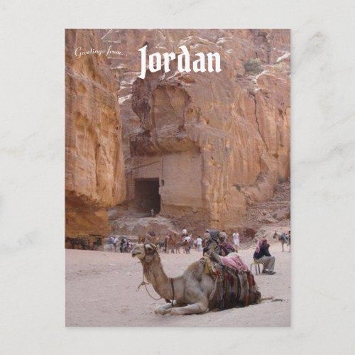 Camel Resting in Petra Jordan Postcard