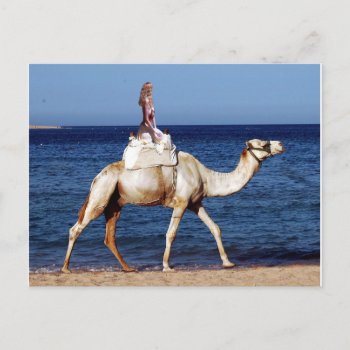 Camel Rider By The Sea Postcard by PugWiggles at Zazzle