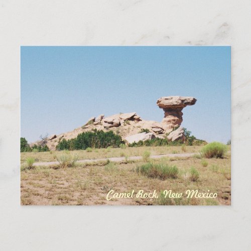 Camel Rock New Mexico Postcard