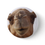 Camel Round Pin