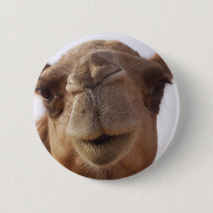 Camel Round Pin