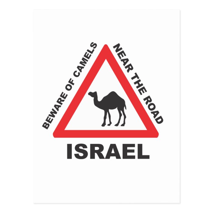 Camel Sign in Israel Post Card