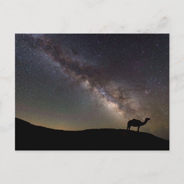 Camel Silhouette and Milkyway Postcard (Front)