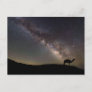 Camel Silhouette and Milkyway Postcard