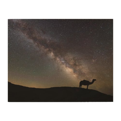 Camel Silhouette and Milkyway Wood Wall Art