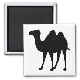 Camel Silhouette Magnet
