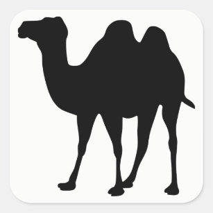 Camel Silhouette Square Sticker