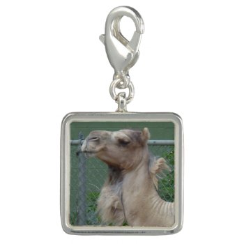 Camel Silver Plated Charm by Rinchen365flower at Zazzle