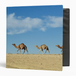 Camel train 3 ring binder