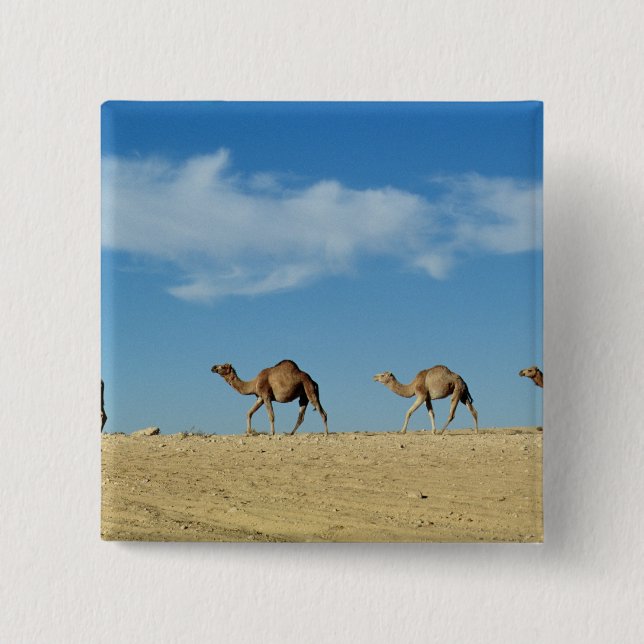 Camel train button (Front)