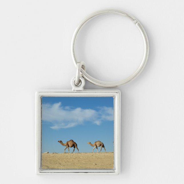 Camel train keychain (Front)