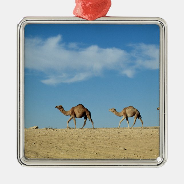 Camel train metal ornament (Front)