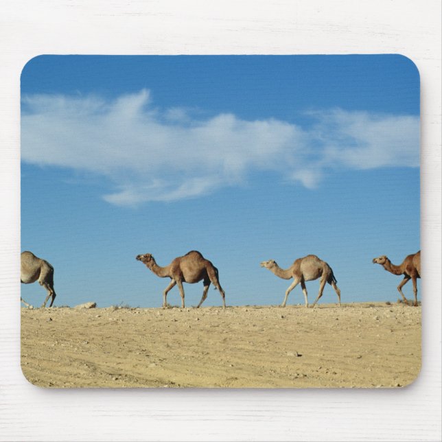 Camel train mouse pad (Front)