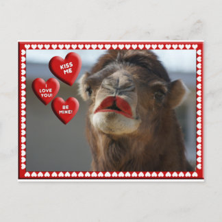 CAMEL VALENTINE - WEARING LIPSTICK - KISS ME! HOLIDAY POSTCARD