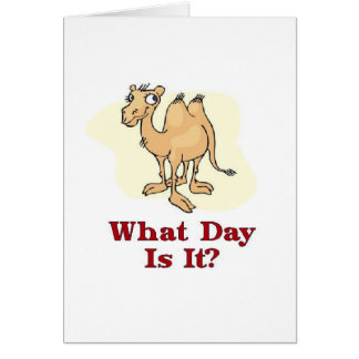Camel - What Day Is It? Cards