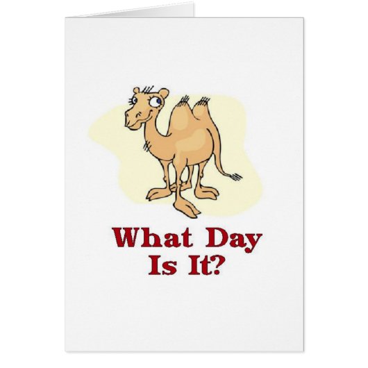 Camel - What Day Is It? Cards (Front)