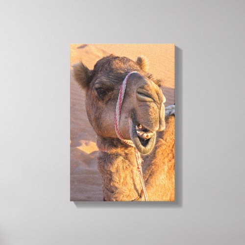 Camel with a funny facial expression canvas print