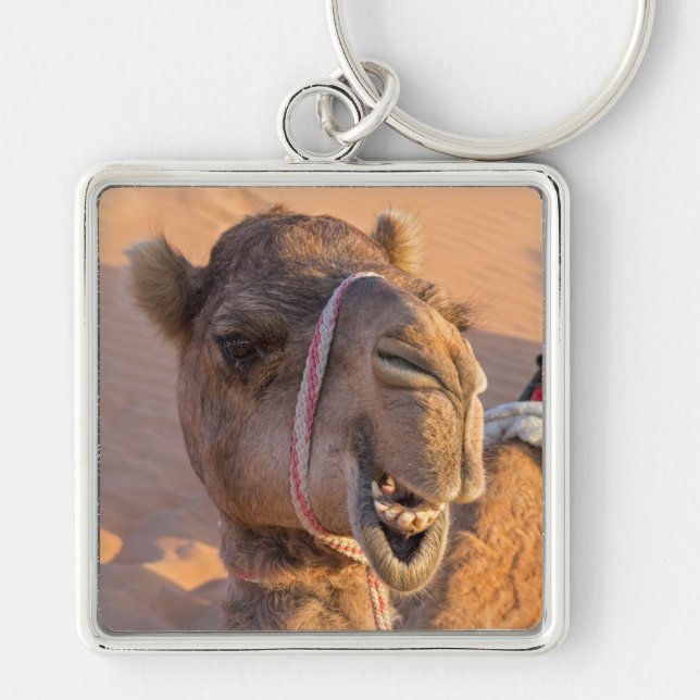 Camel with a funny facial expression - Oman Keychain (Front)