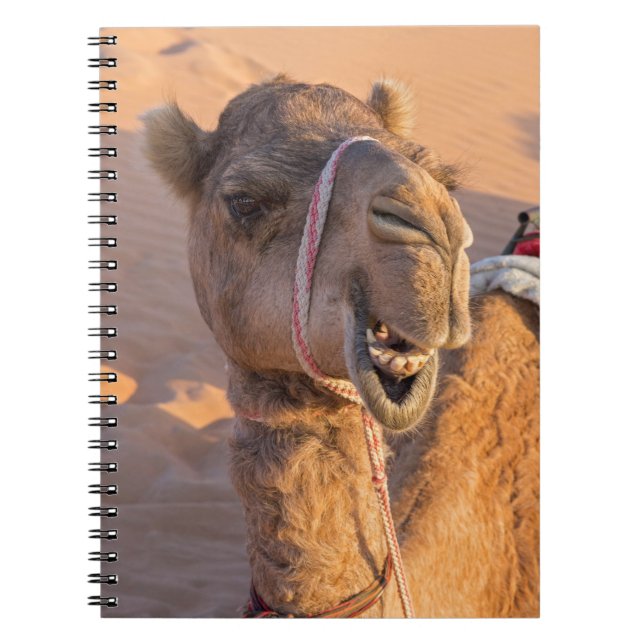 Camel with a funny facial expression - Oman Notebook (Front)