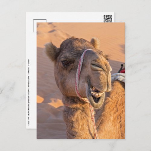 Camel with a funny facial expression _ Oman Postcard