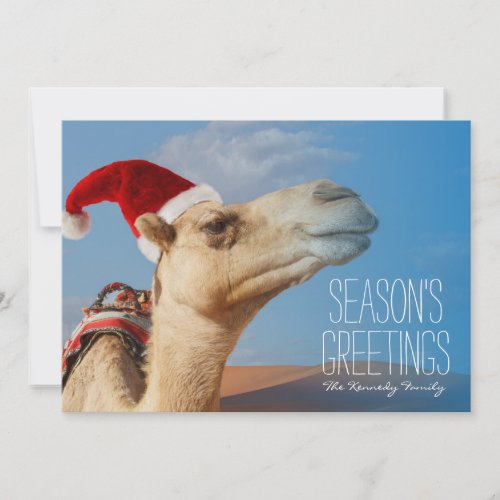 camel with christmas hat holiday card