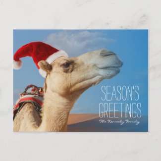 camel with christmas hat holiday postcard