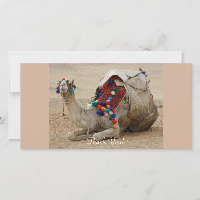 Camel Colorful Thank Card | Zazzle.com