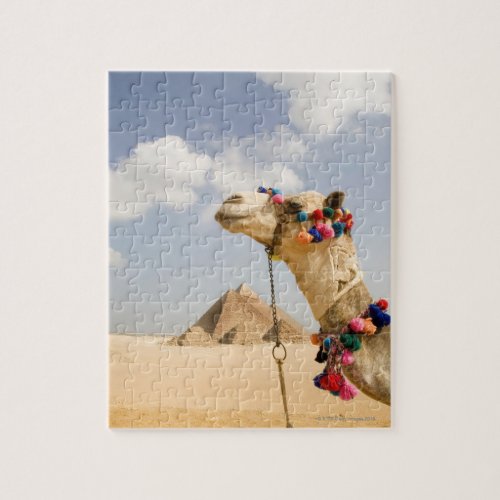 Camel with Pyramids Giza Egypt Jigsaw Puzzle