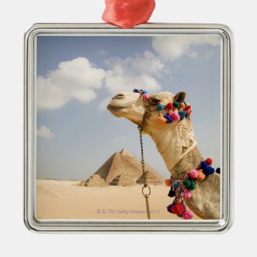 Camel with Pyramids Giza Egypt Metal Ornament
