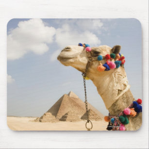Camel with Pyramids Giza, Egypt Mouse Pad